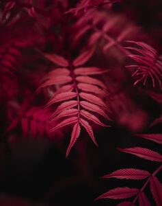 Image street team.co.uk 3804 1746259026732